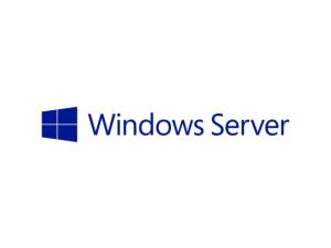 Microsoft Windows Server 2012 50 User CAL English/French/Italian/German/Spanish/Japanese Lic