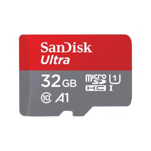 32GB Ultra micro SDHC + SD Adapter (SDSQUA4-032G-GN6IA)