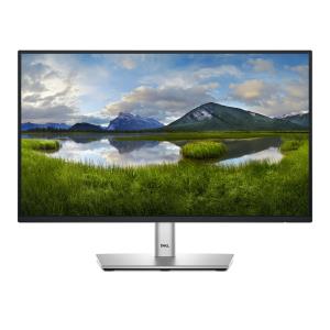 Monitor - P2225h - 22in