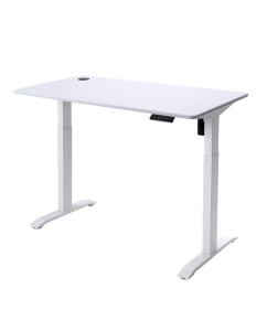 Ergo: Electric Desk With Adjustable 75/120 Height
